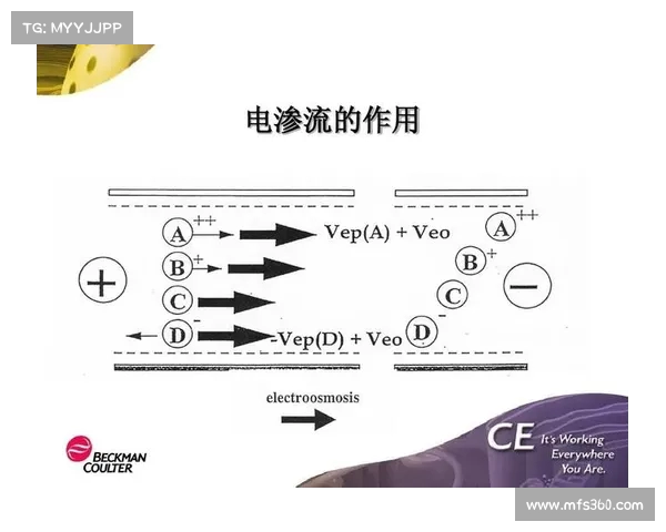 网球比赛练习时间安排与技巧提升策略的有效结合与实践分析 网球比赛练习时间安排与技巧提升策略的有效结合与实践分析